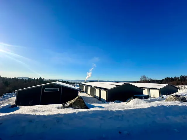 Lagerbyggene sett fra veien om vinteren