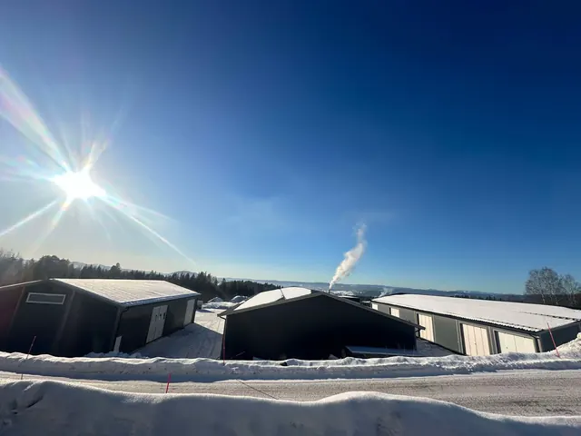 Lagerbyggene i vintersol